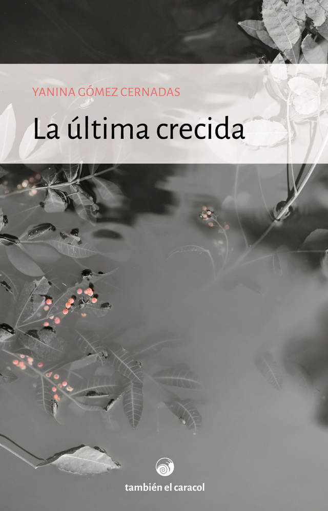 la ultima crecida2