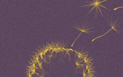 Sin conflicto no hay historia